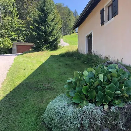 L'epervier Blanc