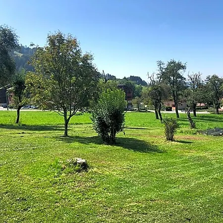 L'epervier Blanc 3*