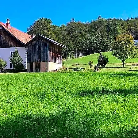 L'epervier Blanc Habère-Poche