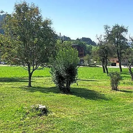 L'epervier Blanc