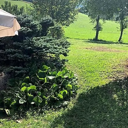L'epervier Blanc Oda ve Kahvaltı