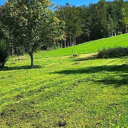 L'epervier Blanc 3* Habère-Poche